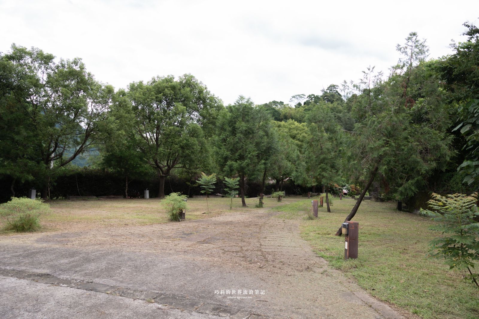 阿里山隱藏玩法！走進逐鹿傳說、山美達娜伊谷、新美獵人營，鄒族文化一日深度旅遊體驗 @巧莉的世界流浪筆記