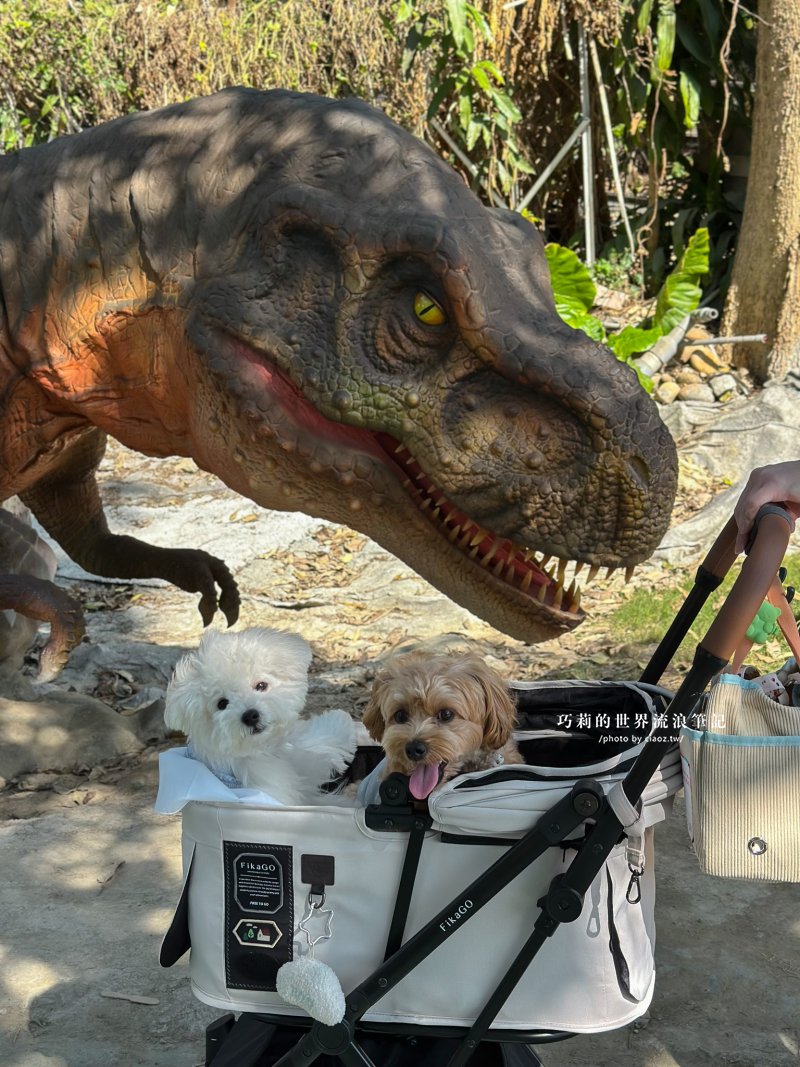 全台唯一！帶著狗狗坐「空中漂漂河」、看恐龍，百果山探索樂園2026最新門票收費方式懶人包｜彰化員林景點 @巧莉的世界流浪筆記