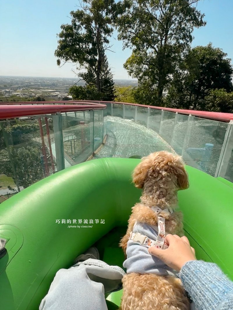 全台唯一！帶著狗狗坐「空中漂漂河」、看恐龍，百果山探索樂園2026最新門票收費方式懶人包｜彰化員林景點 @巧莉的世界流浪筆記