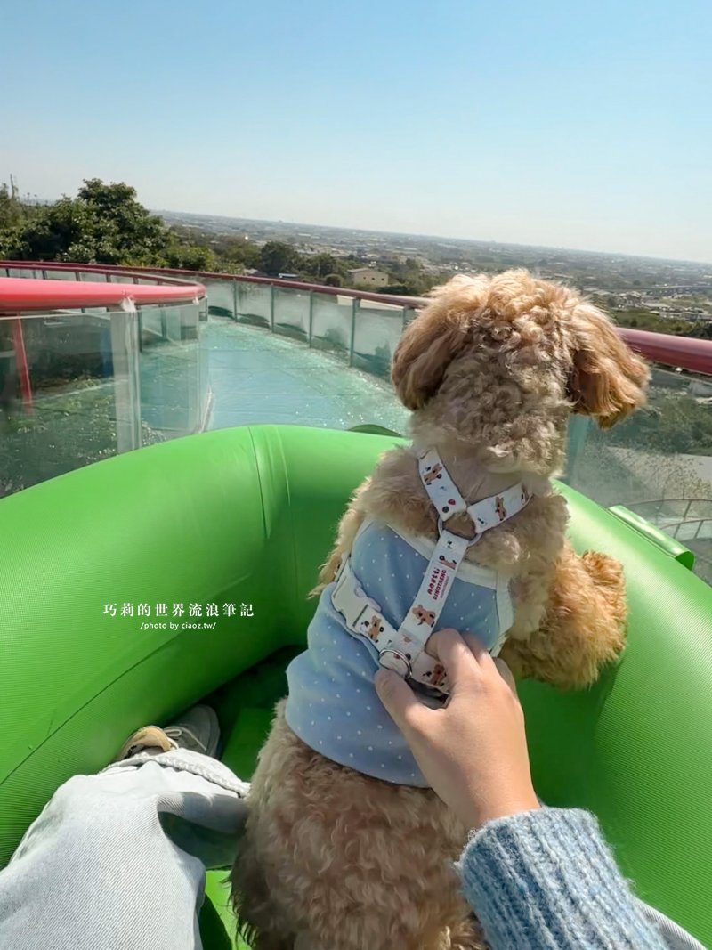 全台唯一！帶著狗狗坐「空中漂漂河」、看恐龍，百果山探索樂園2026最新門票收費方式懶人包｜彰化員林景點 @巧莉的世界流浪筆記