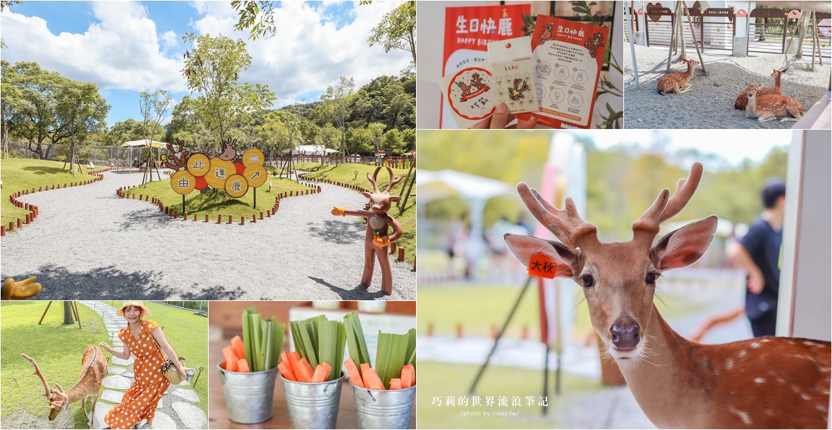 宜蘭景點 | 斑比山丘 | 和梅花鹿一起在日式庭園閒逛散步，線上預約免排隊 @巧莉的世界流浪筆記