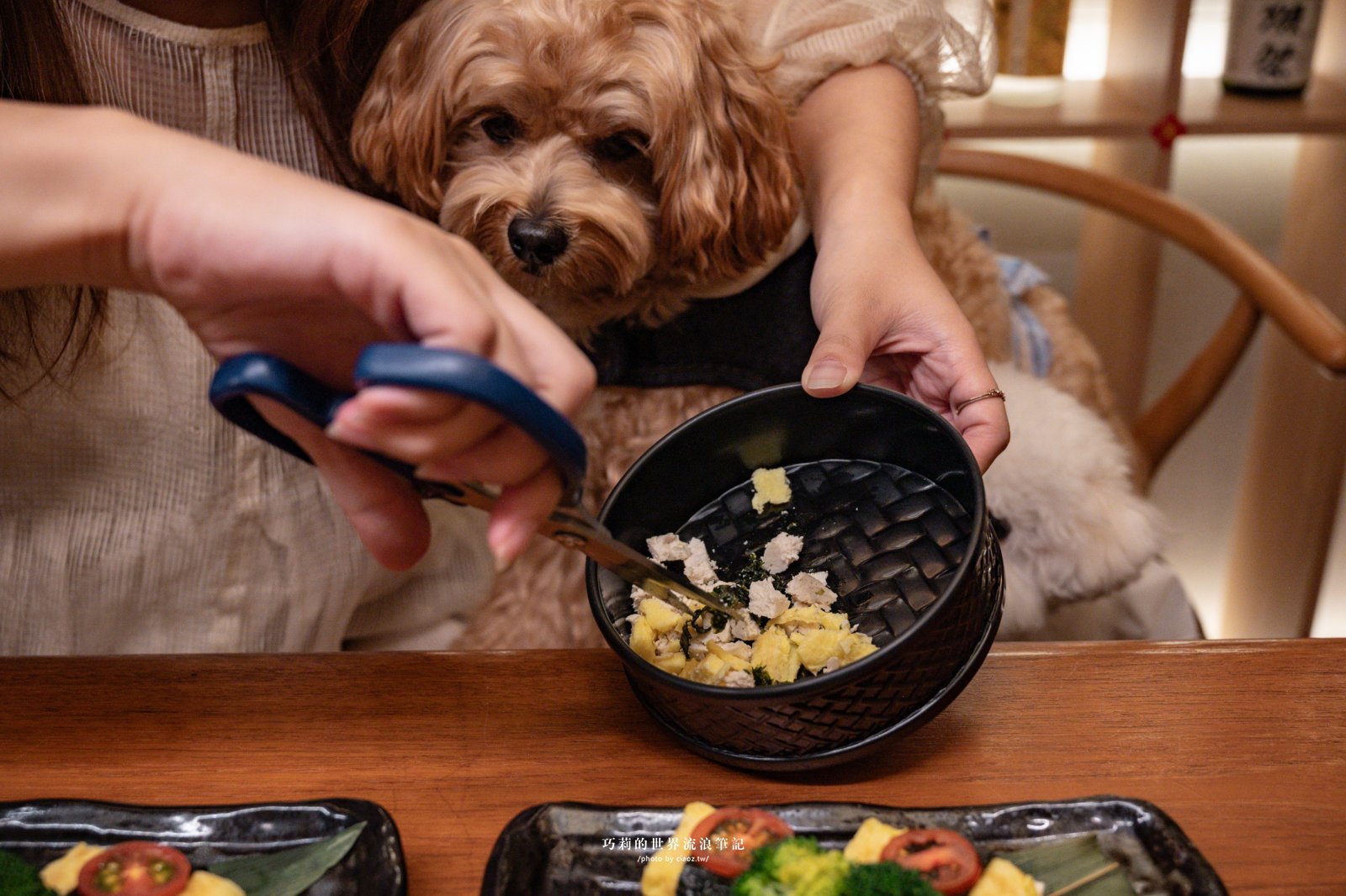 千汌 にほんりょうり｜平日限定濃郁豆乳鍋，連毛孩都有專屬免費玉子燒！台中最寵毛孩的高質感寵物友善日本料理 @巧莉的世界流浪筆記