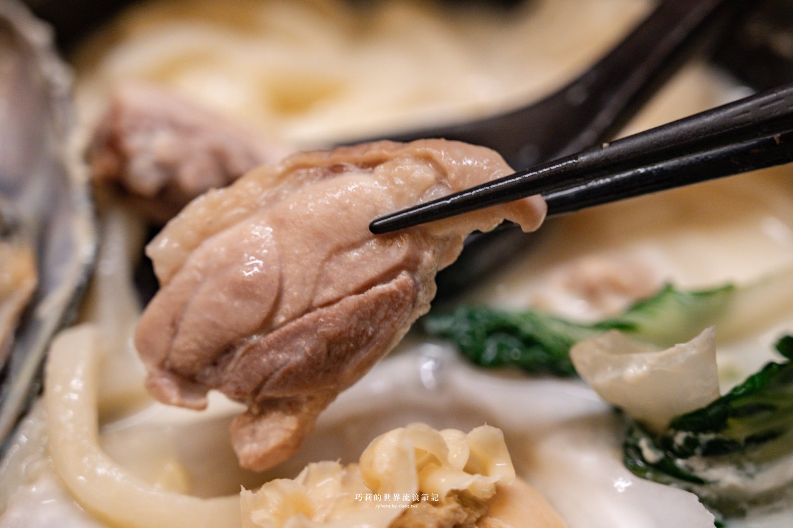 千汌 にほんりょうり｜平日限定濃郁豆乳鍋，連毛孩都有專屬免費玉子燒！台中最寵毛孩的高質感寵物友善日本料理 @巧莉的世界流浪筆記