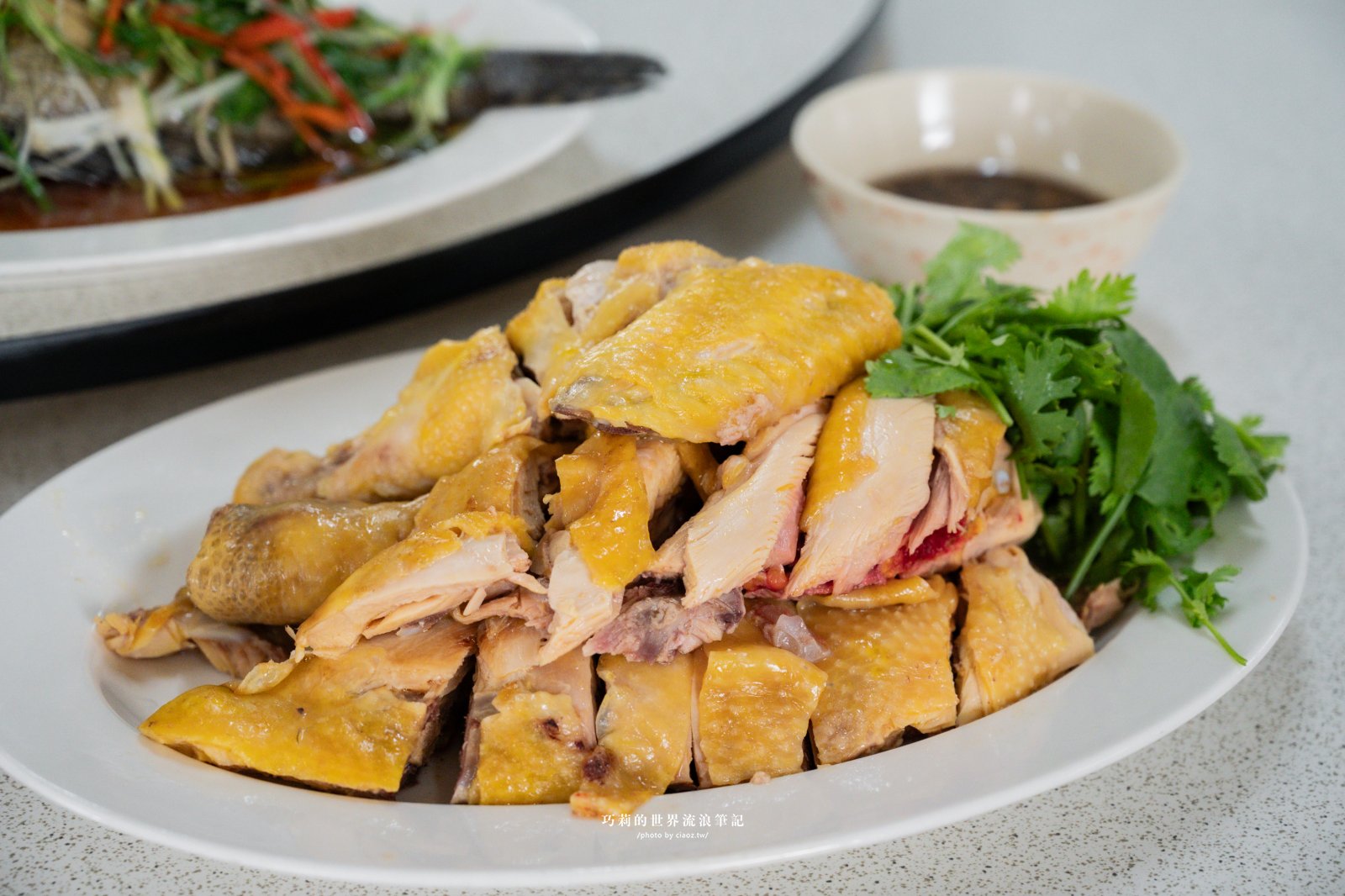 台中南屯隱藏版美食｜廣式養生功夫雞：來自廣東媽媽的手路菜，超強椰子雞湯香氣滿分！ @巧莉的世界流浪筆記