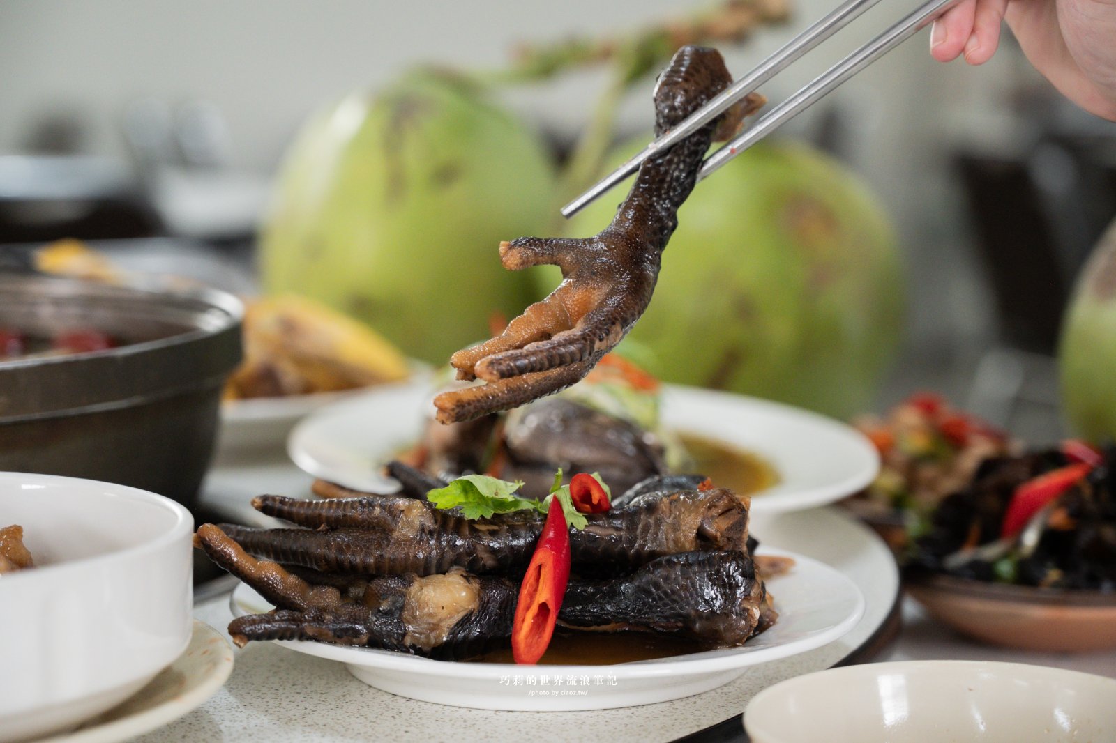 台中南屯隱藏版美食｜廣式養生功夫雞：來自廣東媽媽的手路菜，超強椰子雞湯香氣滿分！ @巧莉的世界流浪筆記
