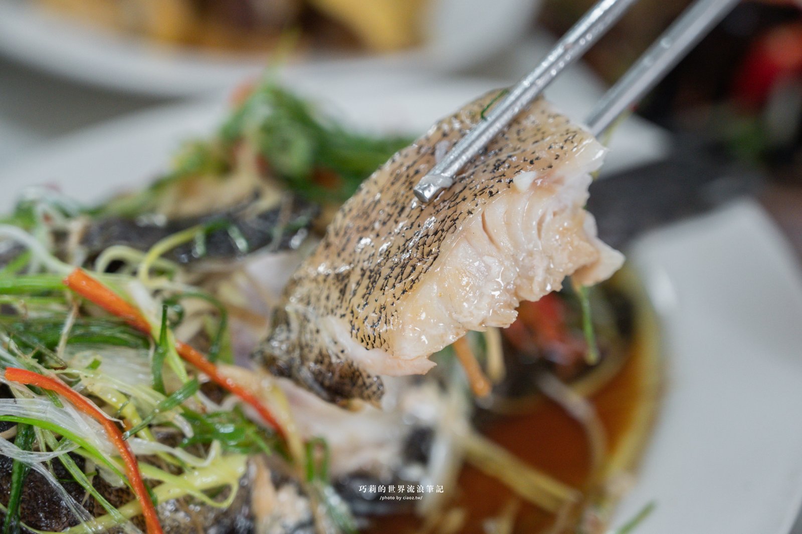 台中南屯隱藏版美食｜廣式養生功夫雞：來自廣東媽媽的手路菜，超強椰子雞湯香氣滿分！ @巧莉的世界流浪筆記