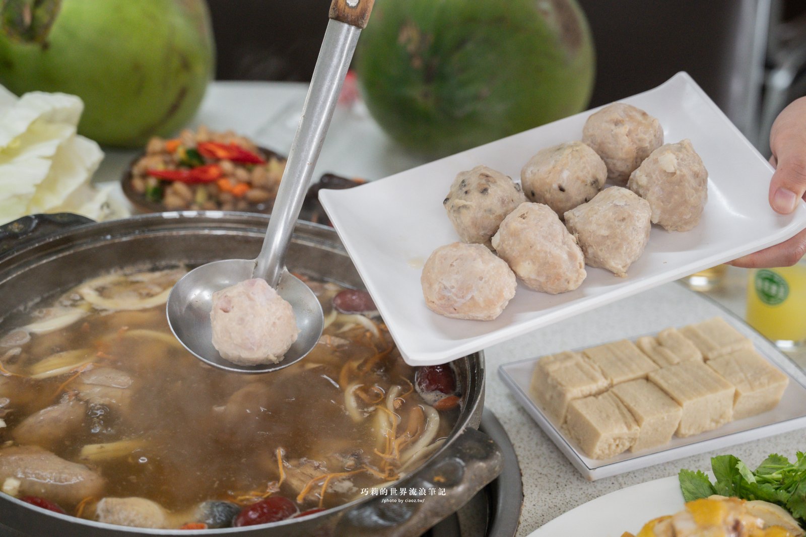 台中南屯隱藏版美食｜廣式養生功夫雞：來自廣東媽媽的手路菜，超強椰子雞湯香氣滿分！ @巧莉的世界流浪筆記