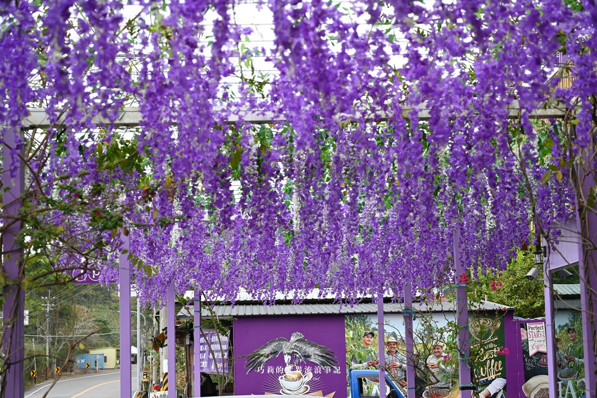 EAGLE COFFEE 伊果咖啡｜苗栗大湖景觀餐廳推薦，浪漫台三線最美紫色咖啡廳就是這一家！ @巧莉的世界流浪筆記