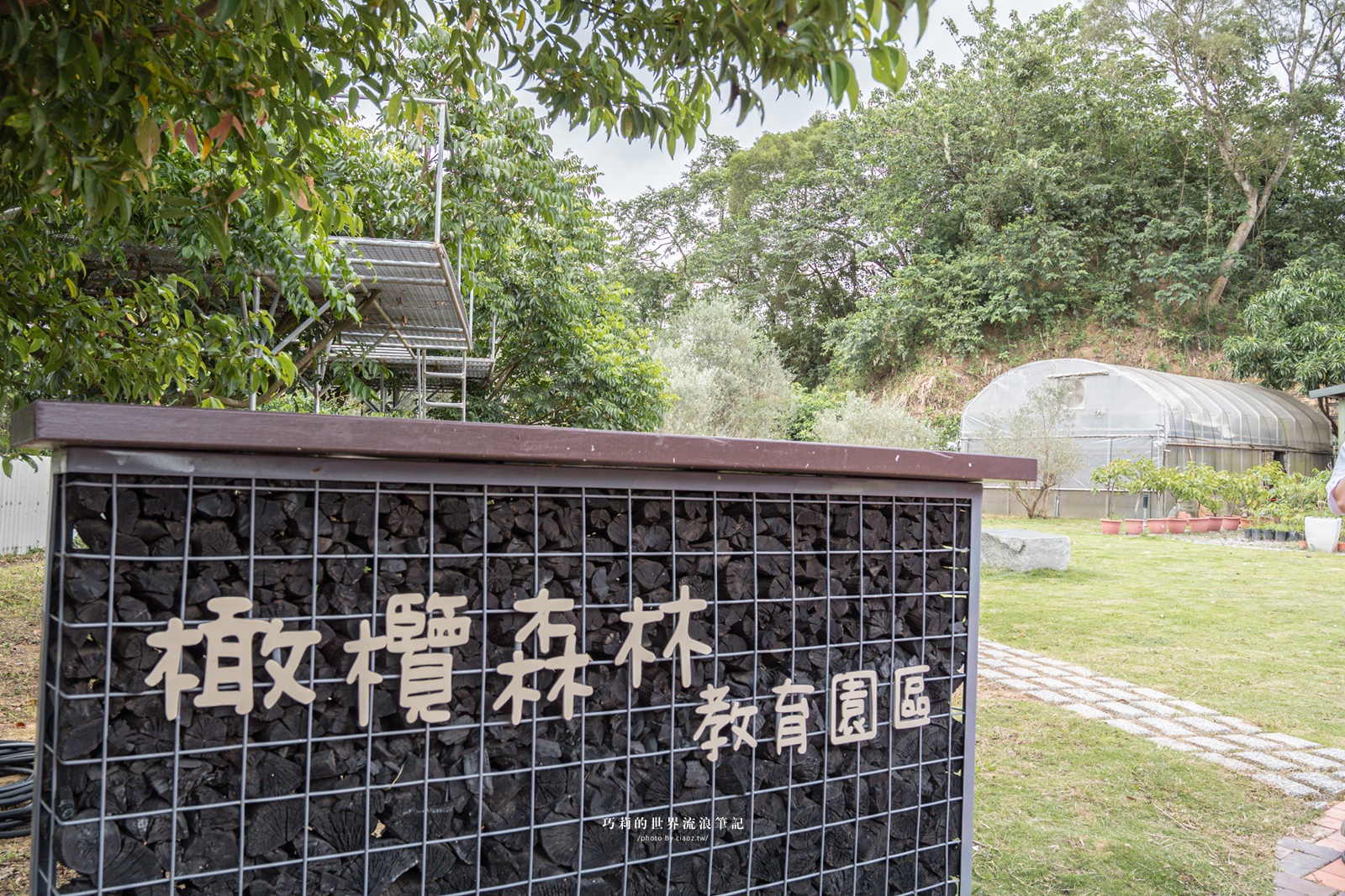 新竹農村樂齡小旅行！食農教育體驗2個行程推薦給你，芎林鄉農會貢稻食育、寶山油田社區橄欖先生 @巧莉的世界流浪筆記