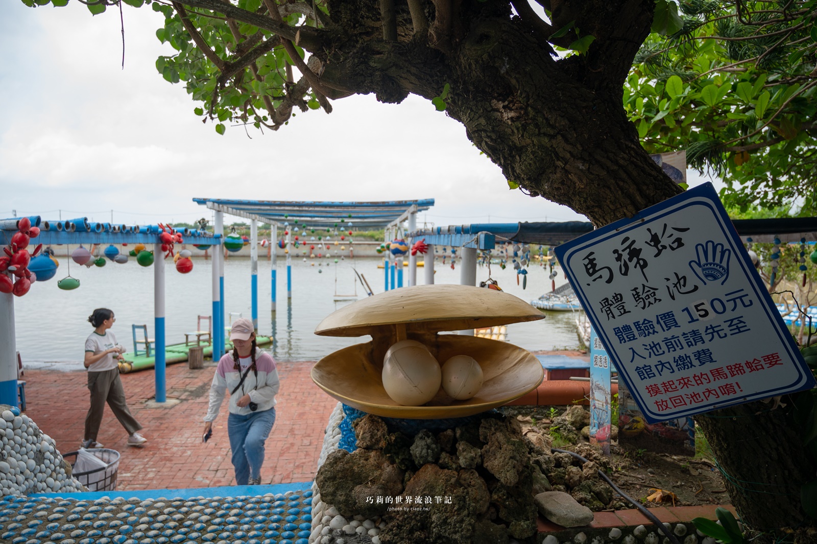 限量巨霸馬蹄蛤滿滿蜆精，划船摸蛤150可以玩整天｜馬蹄蛤主題館 @巧莉的世界流浪筆記