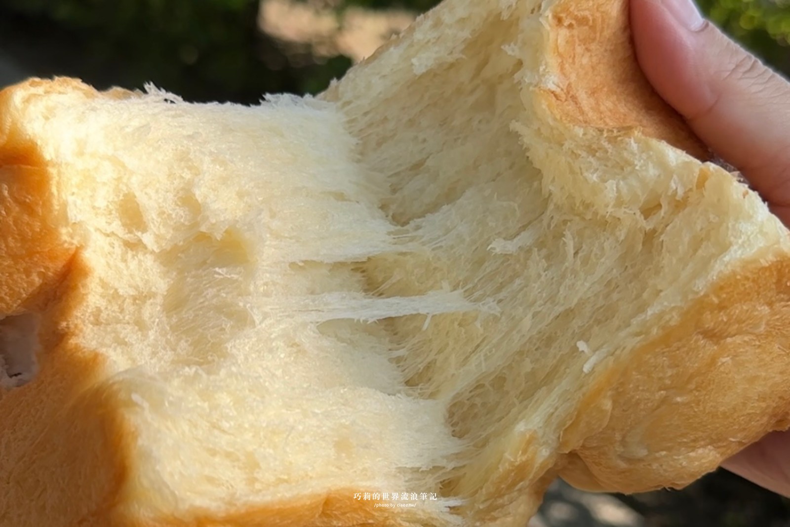 台中生吐司推薦「釀烘焙」天然魯邦菌種150元平價享受柔軟奢華口感 @巧莉的世界流浪筆記