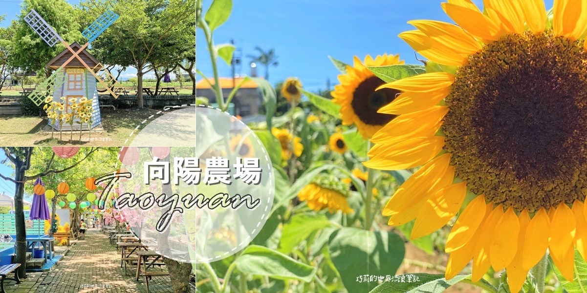 桃園景點 || 北台灣最大的向日葵主題農場「向陽農場」，大片向日葵花海超好拍！ @巧莉的世界流浪筆記