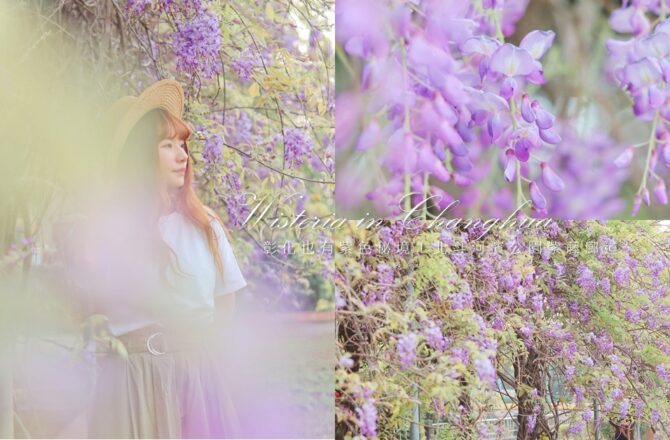 北斗河濱公園 | 彰化也有紫色秘境！這個公園不是只有美人樹，還有這條夢幻紫藤花廊道！