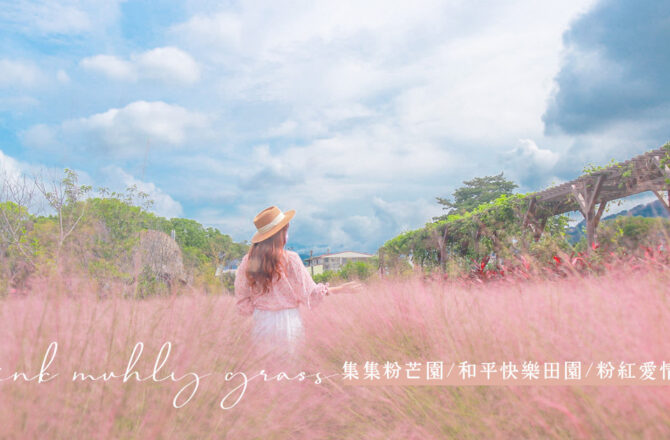 南投景點 | 集集粉芒園開園了！ 和平快樂田園 夢幻粉黛亂子草 粉紅愛情草 (已歇業)