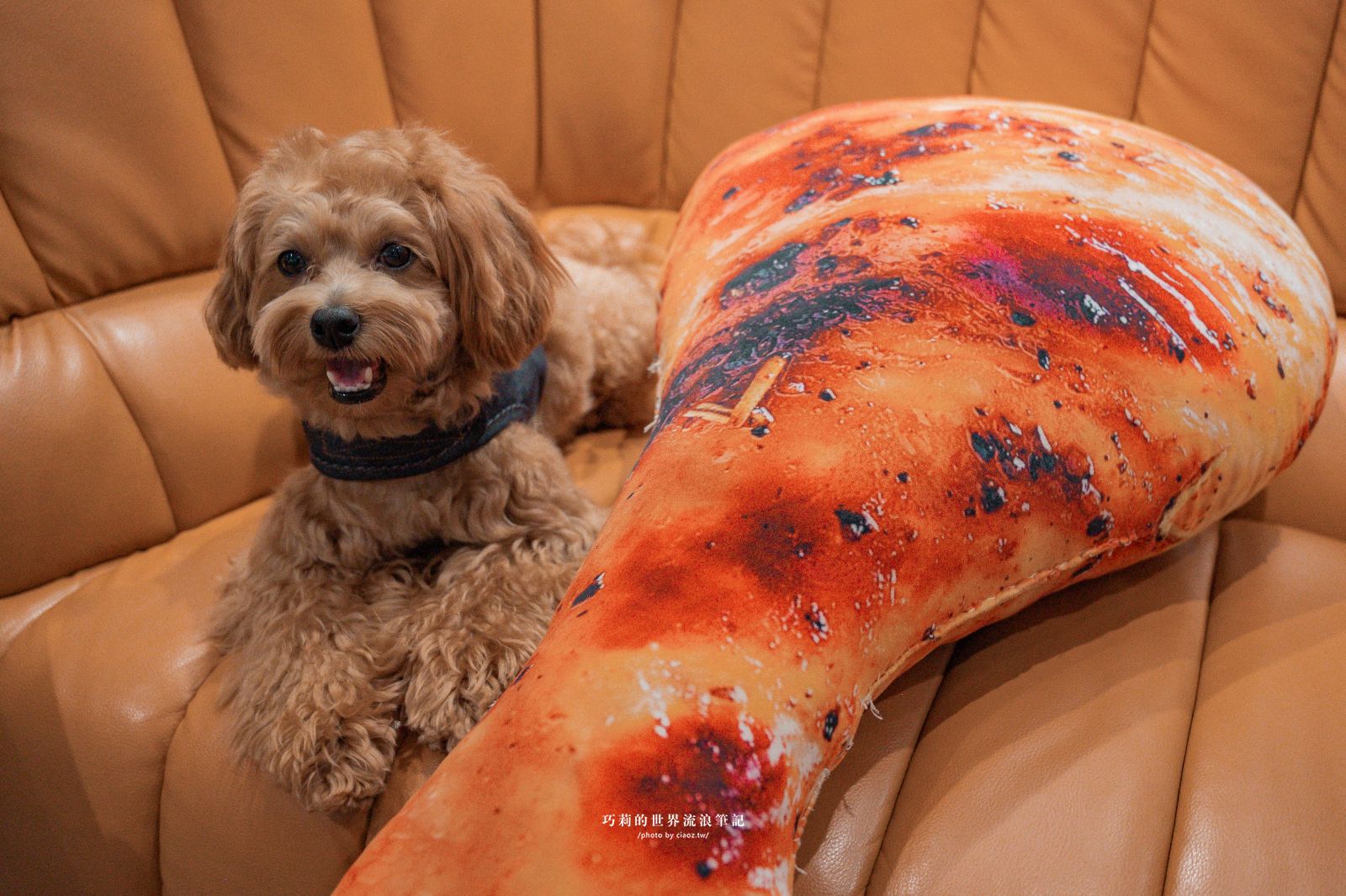 桃園珍珠海岸兩日輕旅行提案！質感民宿大改造「羅里濱海輕旅」 @巧莉的世界流浪筆記