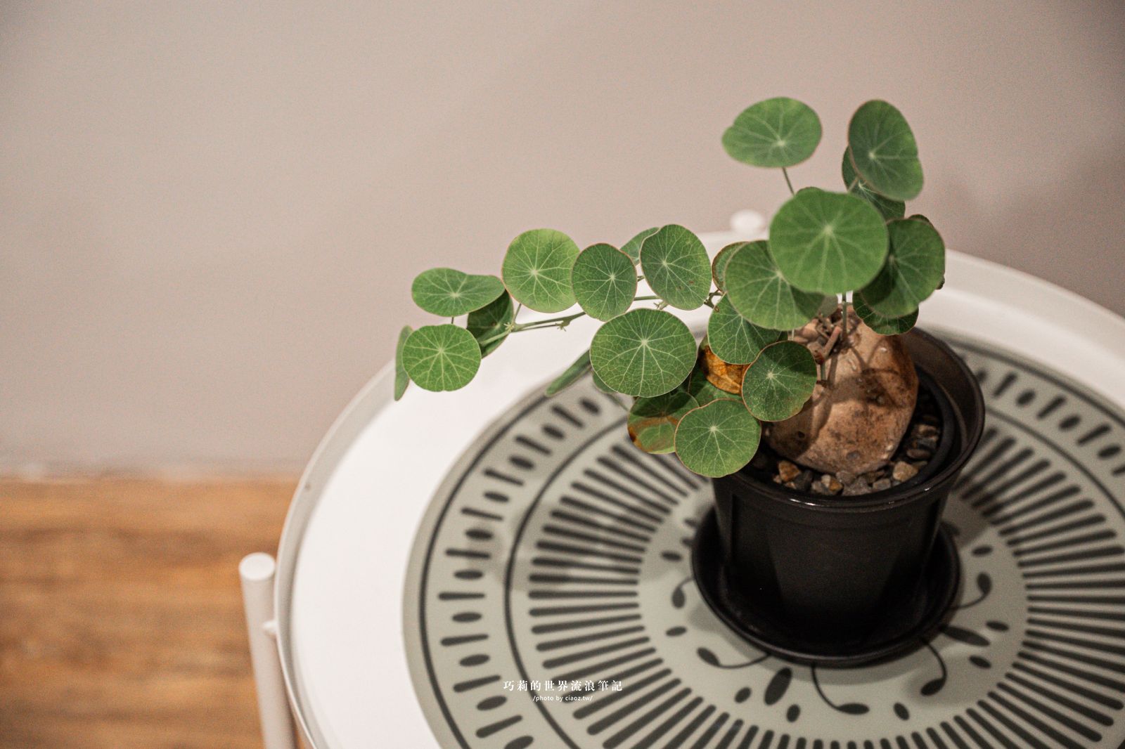 桃園珍珠海岸兩日輕旅行提案！質感民宿大改造「羅里濱海輕旅」 @巧莉的世界流浪筆記