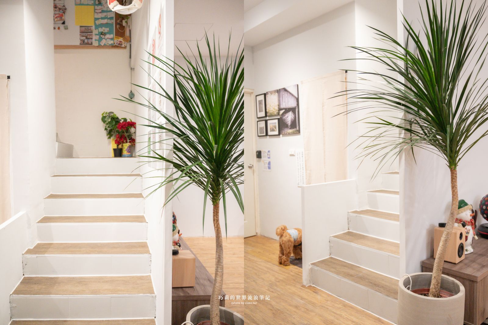 桃園珍珠海岸兩日輕旅行提案！質感民宿大改造「羅里濱海輕旅」 @巧莉的世界流浪筆記