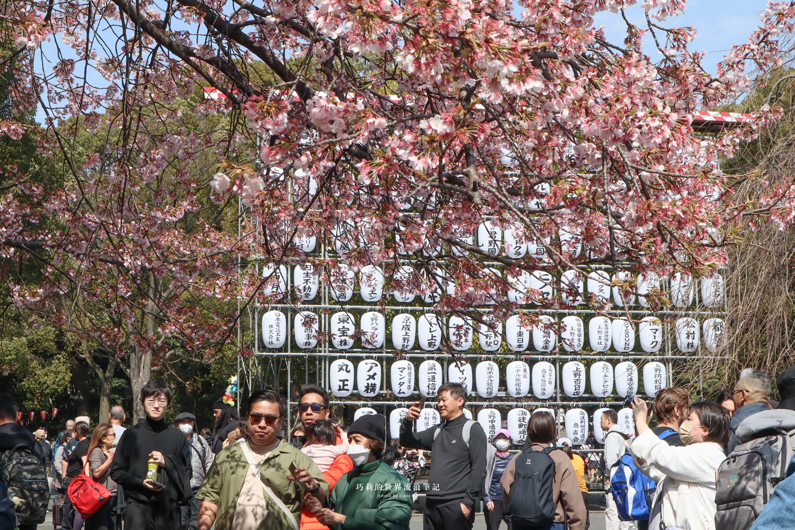 東京賞櫻景點｜早開櫻必看！150年歷史上野恩賜公園有1200棵櫻花樹，染井吉野櫻盛開前先來這裡！ @巧莉的世界流浪筆記