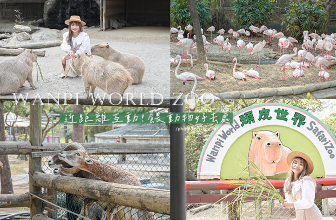 頑皮世界野生動物園｜和水豚君近距離互動玩耍！台南旅遊景點推薦可愛動物園